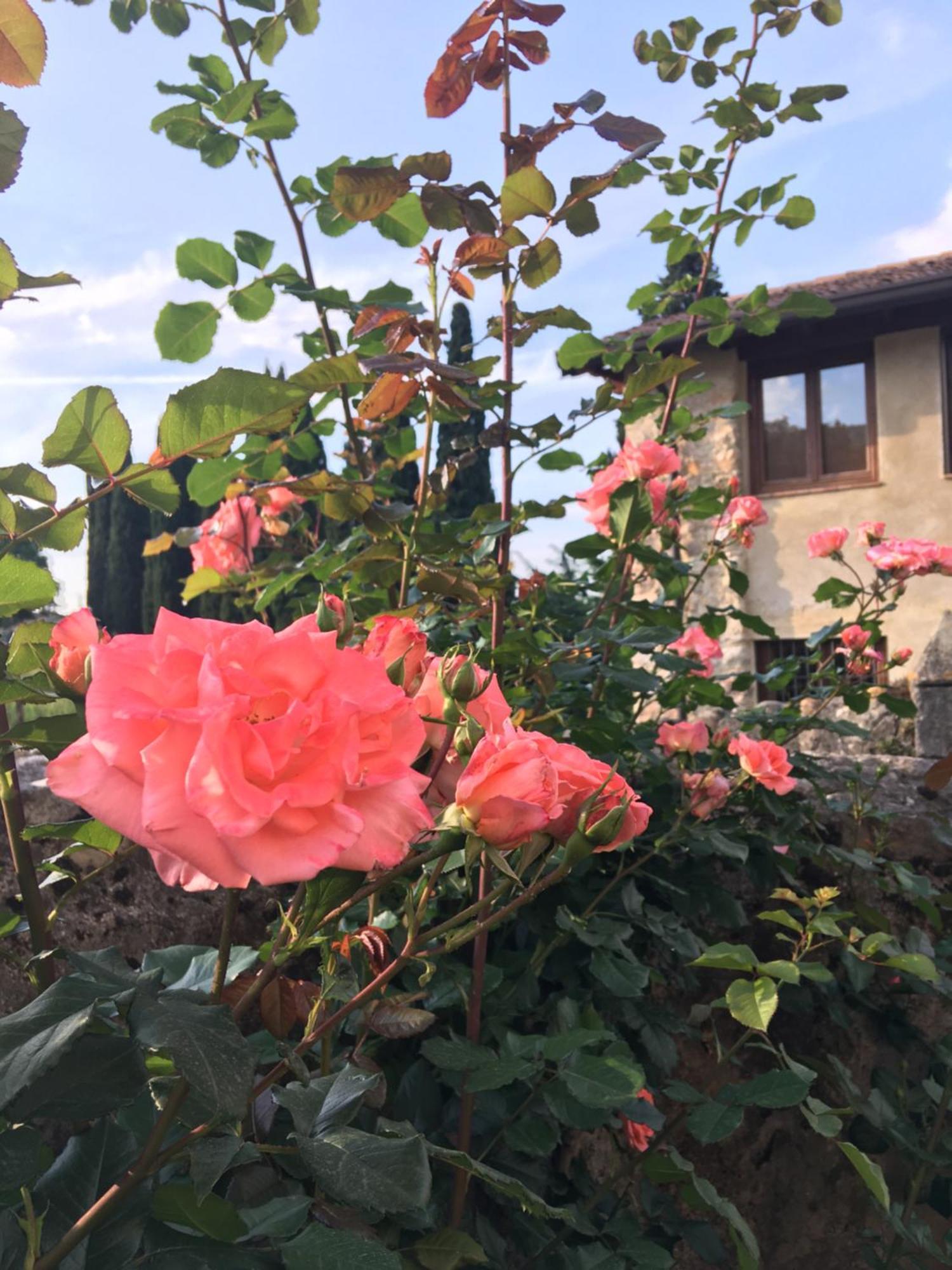 Agriturismo Val 코스테르마노 외부 사진